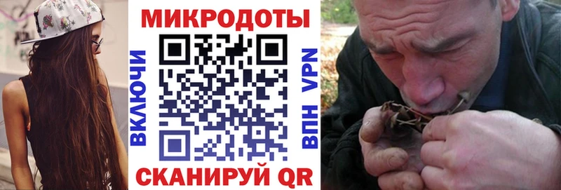 Купить  Александровск-Сахалинский  Псилоцибиновые грибы MAGIC MUSHROOMS 